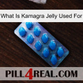 What Is Kamagra Jelly Used For viagra1